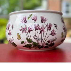 VTG Portmeirion Botanic Garden Vegetable Salad Bowl Cyclamen Repanden Ivy 7” ‘72